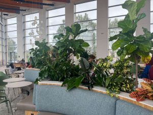 UCSD - Café Ventanas