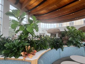 UCSD - Café Ventanas