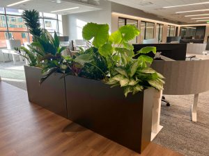Boston Consulting Group