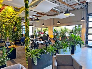Preserved Plants in Modern Interior Design