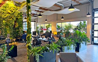 Preserved Plants in Modern Interior Design