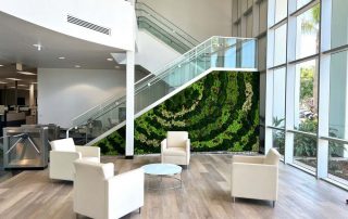 Why Plants Are Essential for Modern Commercial Spaces