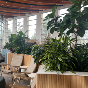 UCSD - Café Ventanas