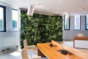 Reasons Why Your Office Needs a Living Wall