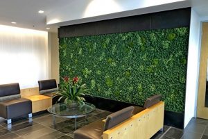 Will Preserved Moss Attract Bugs