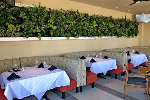Eco-Friendly Workspaces: How to Create an Unforgettable Green Experience