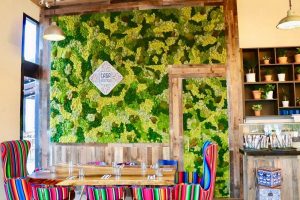 Can Preserved Moss Walls Be Customized to Fit Different Aesthetics