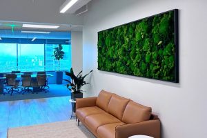 How Can Preserve Moss Walls Enhance the Ambiance of Commercial Spaces?