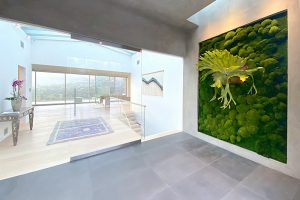 New Year, New Space: How Preserved Moss Walls Transform Commercial Interiors
