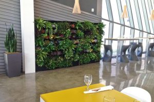 How Can Preserved Moss Walls Help Attract Eco-Conscious Customers?