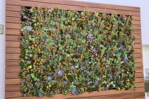 How Do Living Walls Help Reduce Noise Pollution?