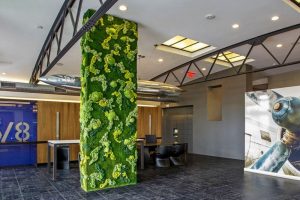 Why are Preserved Moss Walls Perfect for Commercial Spaces?