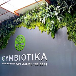 Why Are Preserved Moss Walls Trending in Commercial Design?