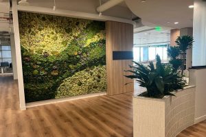How Green Walls Improve Indoor Air Quality and Contribute to Healthier Workspaces