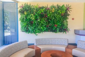 How Living Walls Enhance Office Acoustics and Foster a Productive Work Environment