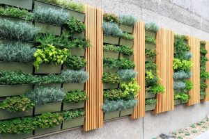 How Vertical Gardens Maximize Space Utilization in Urban Office Settings