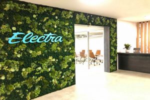 Why Customizable Moss Wall Art Adds a Personal Touch to Commercial Interiors