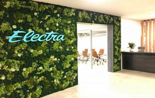 Why Customizable Moss Wall Art Adds a Personal Touch to Commercial Interiors