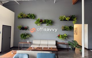 Why Integrating Living Walls into Your Office Design Reflects a Commitment to Sustainability