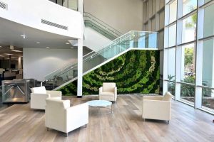 Why Preserved Moss Walls Are a Low-Maintenance Solution for Sustainable Interior Design