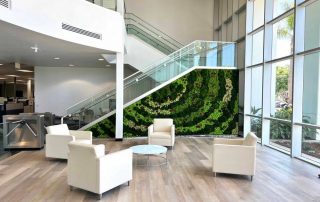Why Preserved Moss Walls Are a Low-Maintenance Solution for Sustainable Interior Design