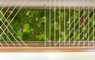 How to Choose Between Living Walls and Preserved Moss Walls for Your Space