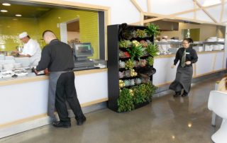How to Incorporate Plant Therapy into Workspaces for Better Employee Well‑Being