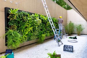 When Professional Maintenance Improves the Longevity of Interior Plants