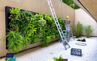 When Professional Maintenance Improves the Longevity of Interior Plants