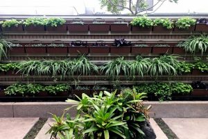Why Adding Indoor Edible Gardens Enhances Office Atmosphere and Sustainability