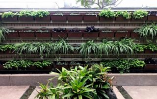 Why Adding Indoor Edible Gardens Enhances Office Atmosphere and Sustainability