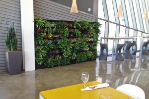 Why Leasing Indoor Plants Can Be More Cost‑Effective Than Buying Them