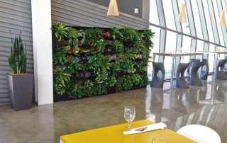 Why Leasing Indoor Plants Can Be More Cost‑Effective Than Buying Them
