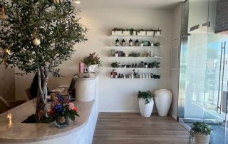 How to Prevent Common Indoor Plant Pests in Commercial Spaces