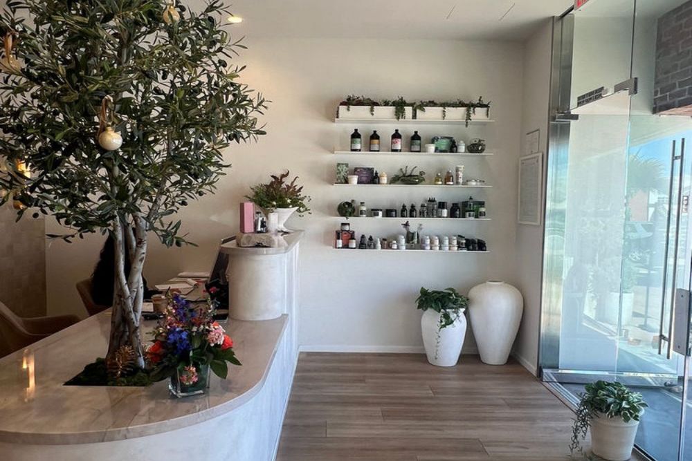 How to Prevent Common Indoor Plant Pests in Commercial Spaces