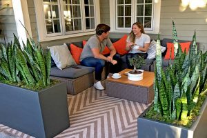 When to Start a Plant Leasing Program for New Offices and Tenant Improvements