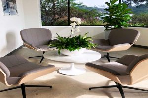 Why Matching Planters and Containers Improves Your Interior Plant Display Long Term