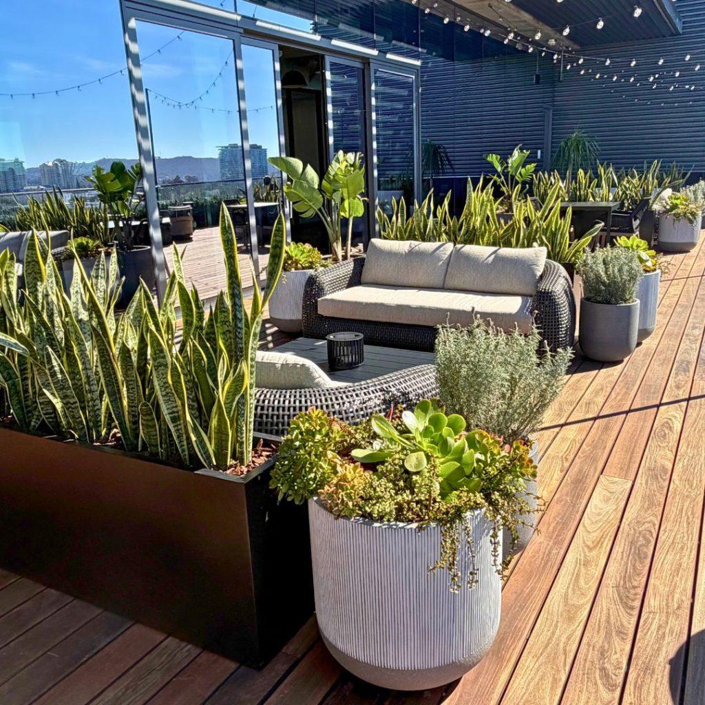 Living plants for outdoor patio on high-rise building in San Diego.