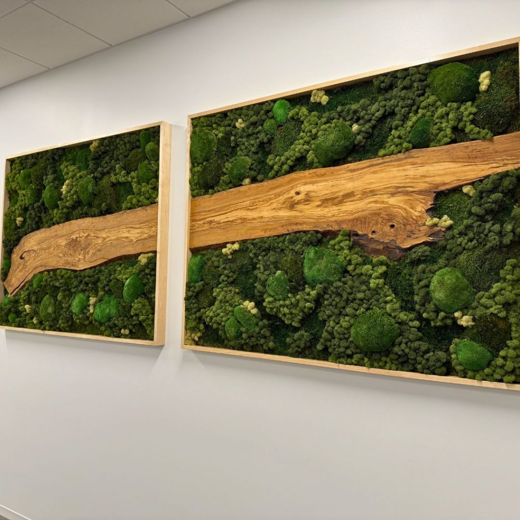 Living moss wall with piece of wood in middle of two frames