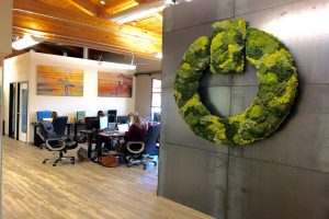 How Interior Plant Design Improves Office Atmosphere and Productivity