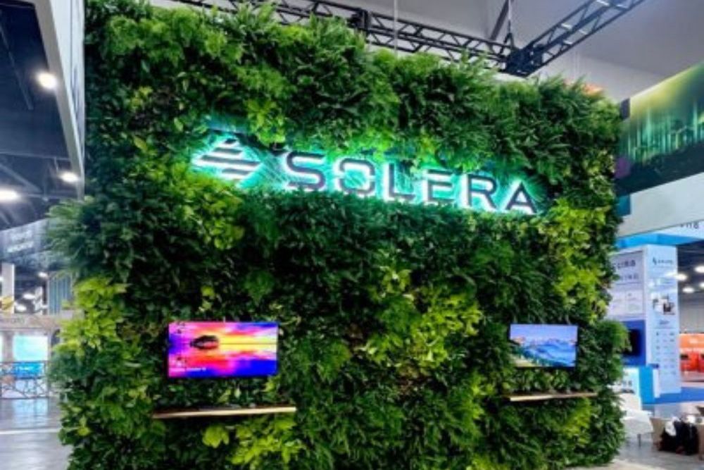 How Interior Plantscaping Improves Air Quality and Workplace Wellness