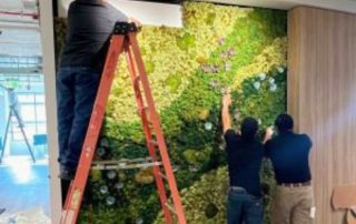 Why Businesses Choose Interior Plant Leasing for Professional Spaces