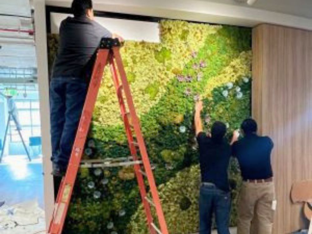 Why Businesses Choose Interior Plant Leasing for Professional Spaces