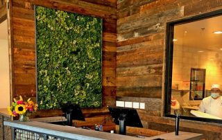 Why Living Plant Walls Are Ideal for Modern Commercial Spaces