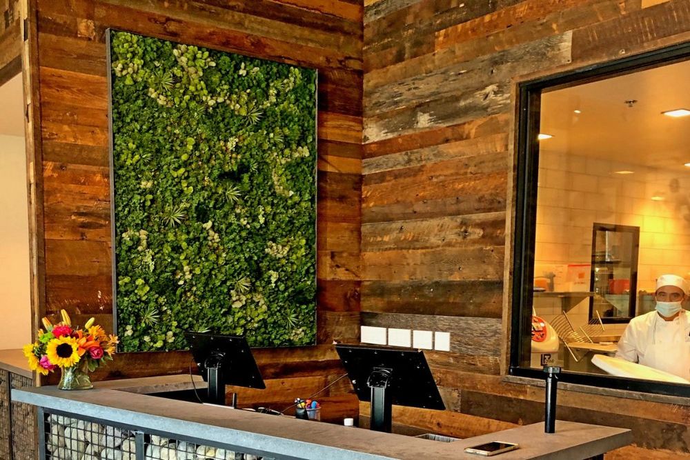 Why Living Plant Walls Are Ideal for Modern Commercial Spaces