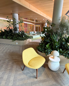 Decorative plants for the lobby area of a new apartment complex