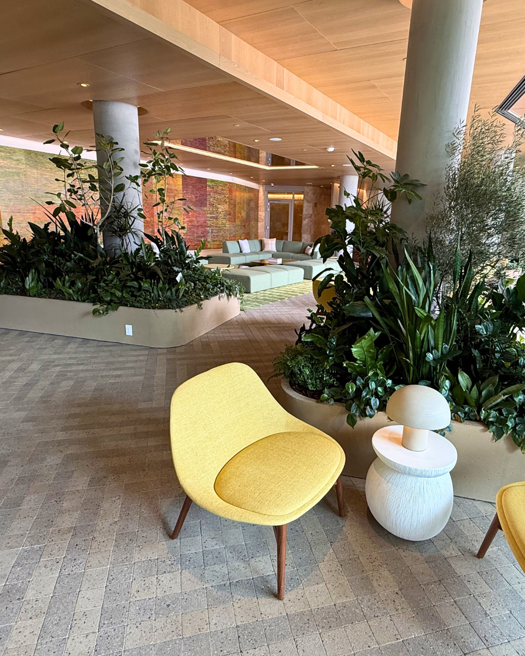 North City 1 Decorative plants for the lobby area of a new apartment complex