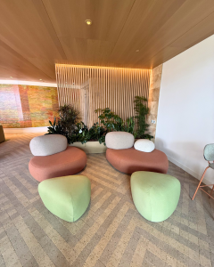 Decorative plants for the lobby area of a new apartment complex