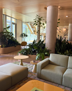 Decorative plants for the lobby area of a new apartment complex