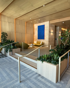 Decorative plants for the lobby area of a new apartment complex